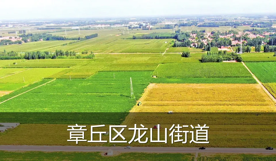 章丘区龙山街道